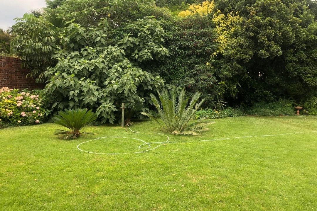 Photo of Outdoor in Harare
