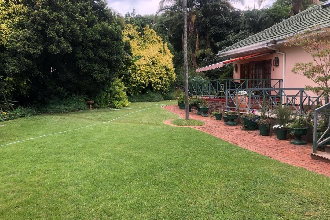 Photo of Buildings in Harare