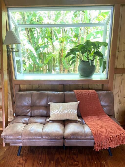 Photo of Others in Kehena