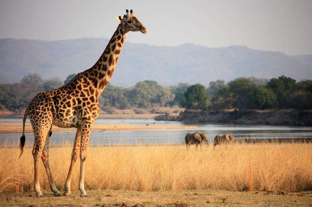 Photo of Outdoor in Kakumbi