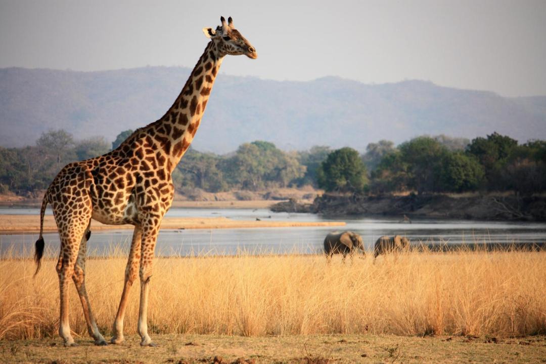 Photo of Outdoor in Kakumbi