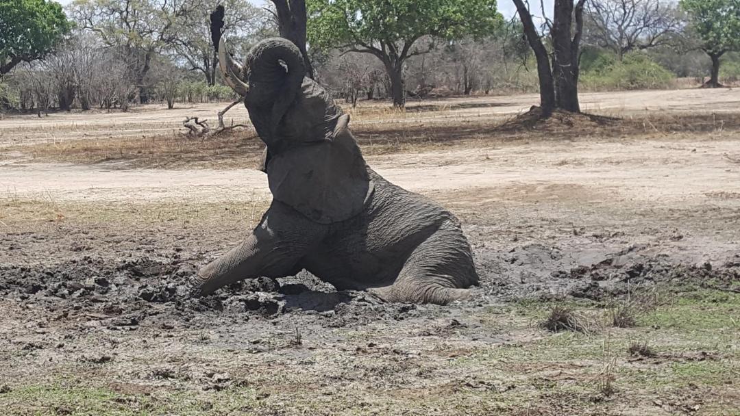 Photo of Human In Picture in Kakumbi