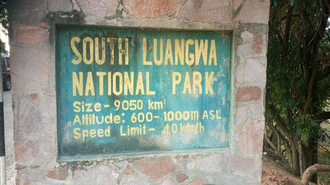 Photo of Others in South Luangwa National Park