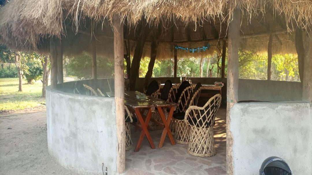 Photo of Others in South Luangwa National Park