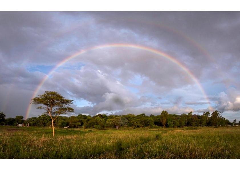Photo of Others in Harare