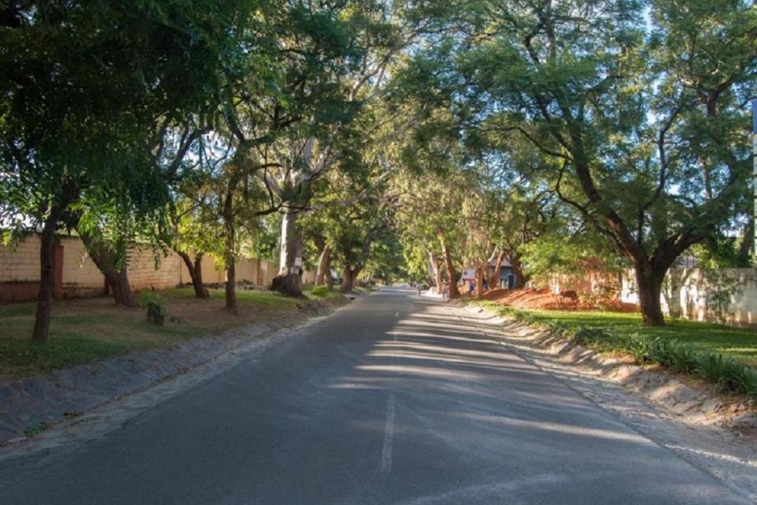 Photo of Others in Lusaka Central