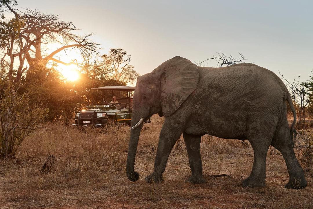 Photo of Others in Victoria Falls