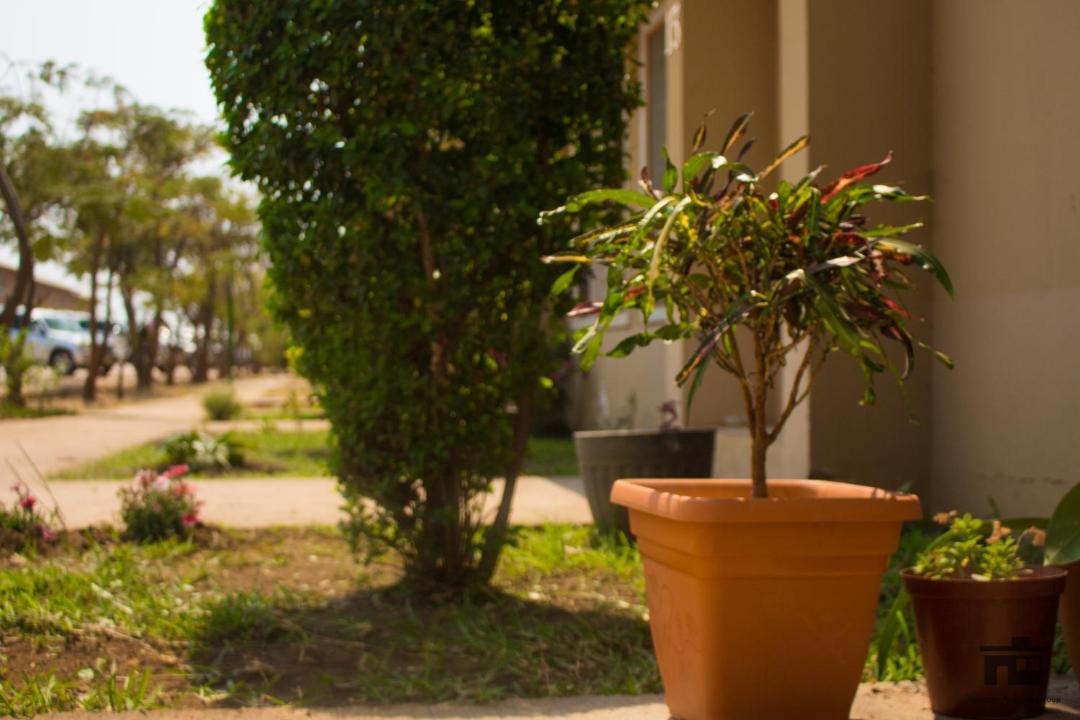 Photo of Others in Lusaka