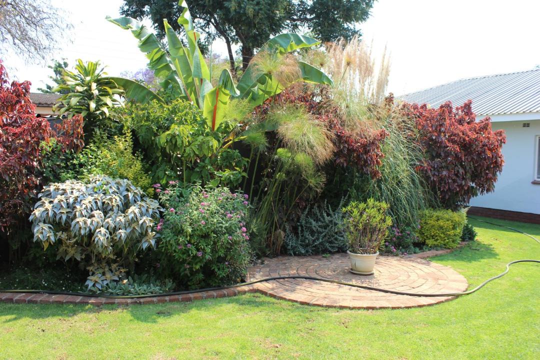 Photo of Outdoor in Harare