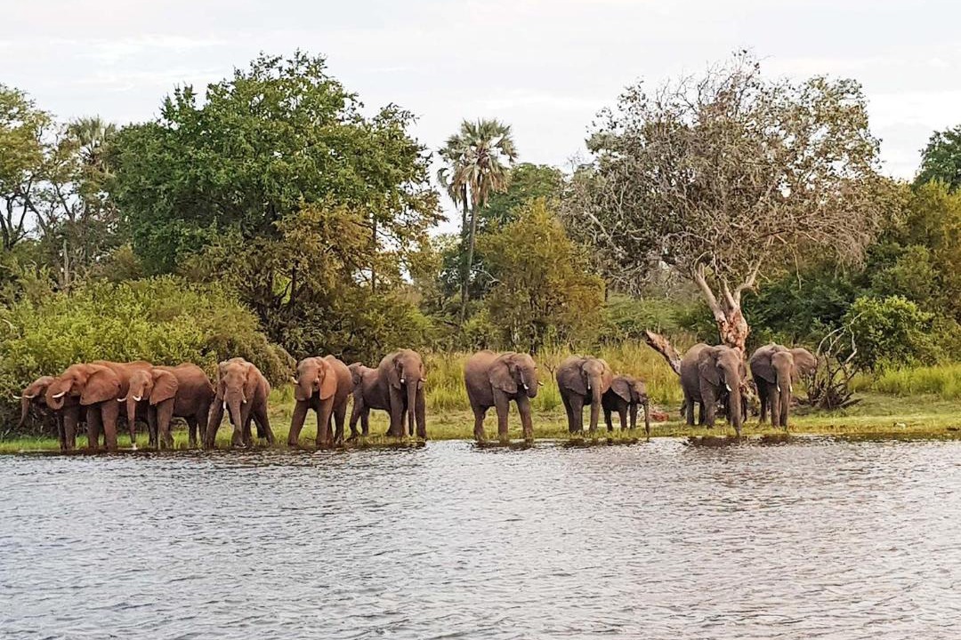 Photo of Others in Victoria Falls