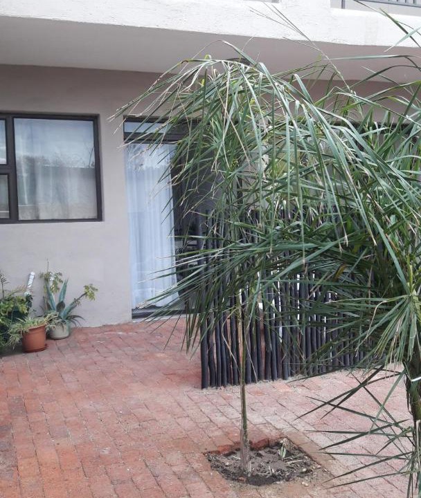 Photo of Others in Windhoek