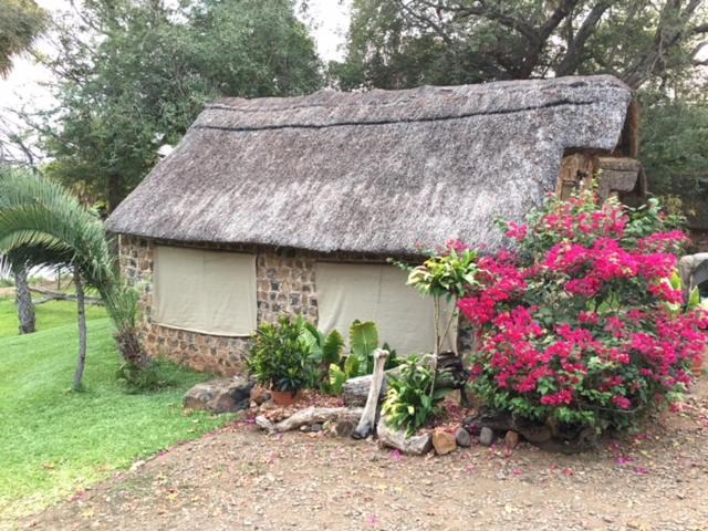Photo of Others in Msuna