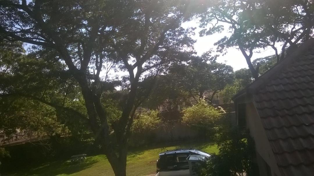 Photo of Others in Harare East