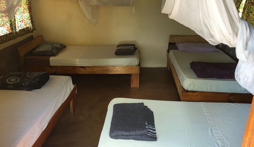 Basic Shared Dormitory, Mixed Dorm