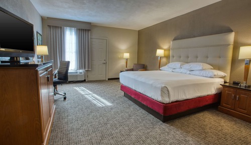 Room, 1 King Bed, Accessible, Terrace (Oversized, Roll-in Shower)