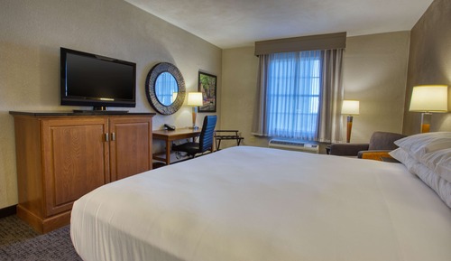 Room, 1 King Bed, Accessible (Roll in Shower)