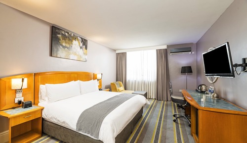 Standard Room, 1 King Bed, City View