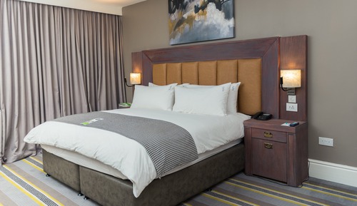 Standard Room, 1 King Bed, Mountain View