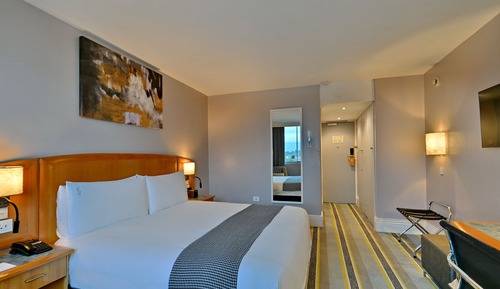 Standard Room, 1 King Bed, City View