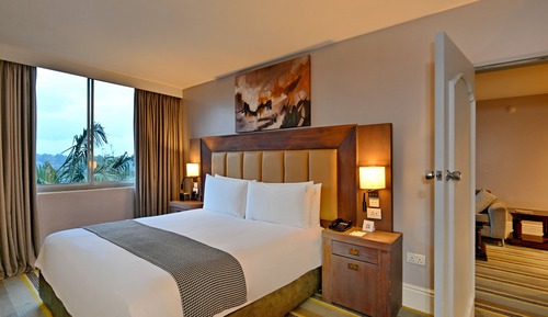 Suite, 1 King Bed, Mountain View