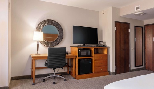 Room, 1 King Bed, Accessible (Roll in Shower)