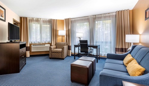 Suite, 1 King Bed with Sofa bed, Non Smoking