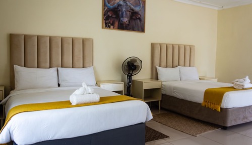 Family Twin Room