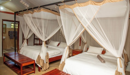 Standard Tent, Patio, Garden View
