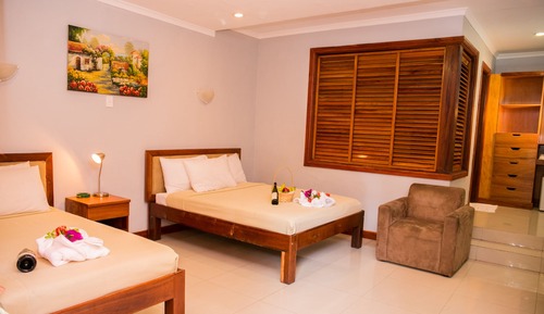 Deluxe Twin Room