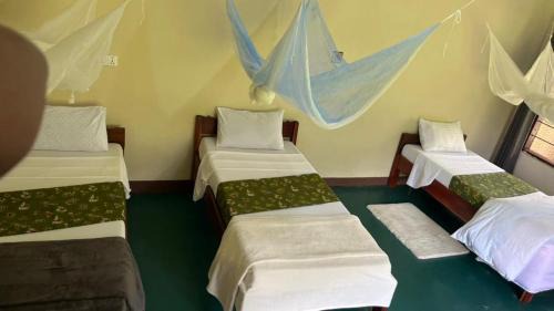 Single Bed in Female Dormitory Room