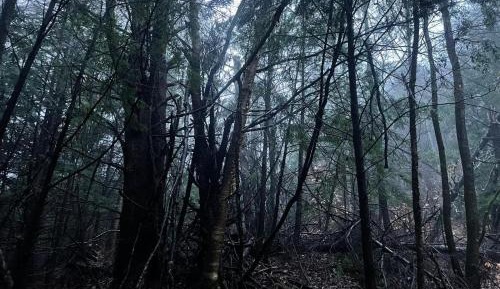 Empty Lot