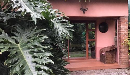 King Room with Garden View