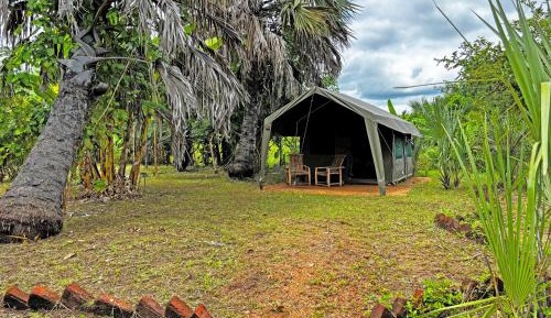 Tent